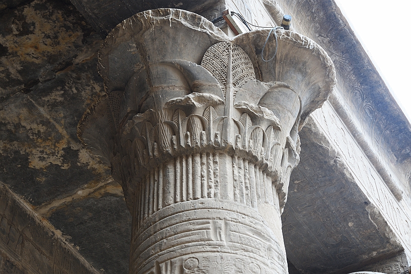 15 MAK_6268.jpg - Capitello palmiforme ovvero decorato con motivi ispirati alle foglie di palma.